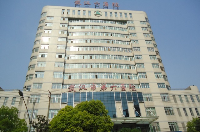 武汉市第六医院