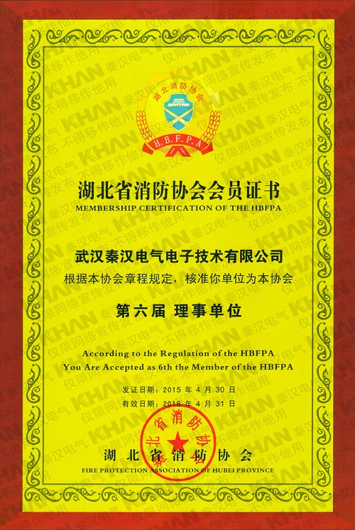 湖北省消防协会理事单位